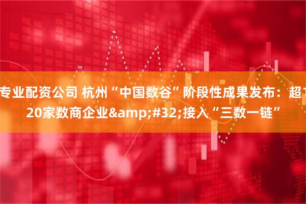 专业配资公司 杭州“中国数谷”阶段性成果发布：超120家数商企业&#32;接入“三数一链”