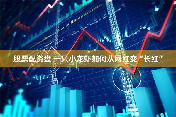 股票配资盘 一只小龙虾如何从网红变“长红”
