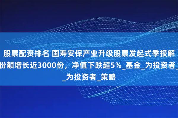 股票配资排名 国寿安保产业升级股票发起式季报解读：份额增长近3000份，净值下跌超5%_基金_为投资者_策略